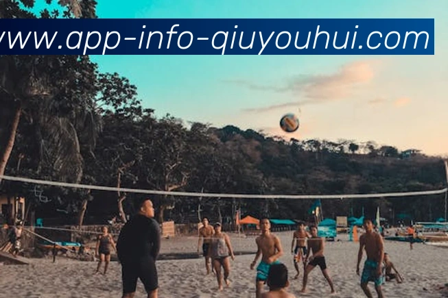 英超球队巡礼:全面了解英超联赛各支球队的历史与现状